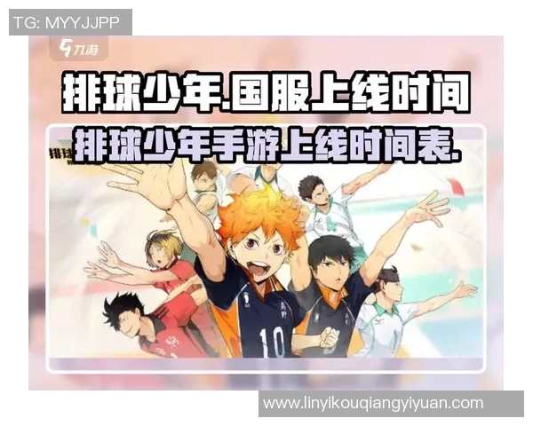 从零基础到排球高手：全面解析排球战术与技巧的实用指南