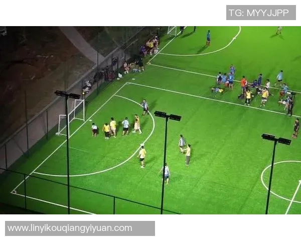 广州飞盘队实力解析聚焦飞盘运动的崛起与发展