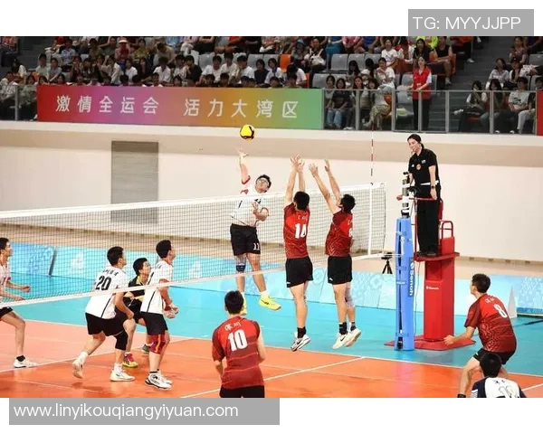 杭州排球队的团队协作之道：探索排球运动中的默契与配合技巧